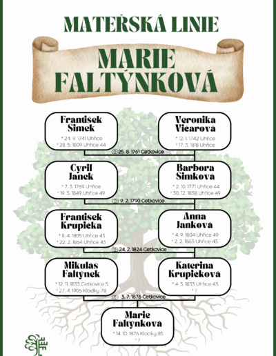 rodokmen Faltynkova-materska linie