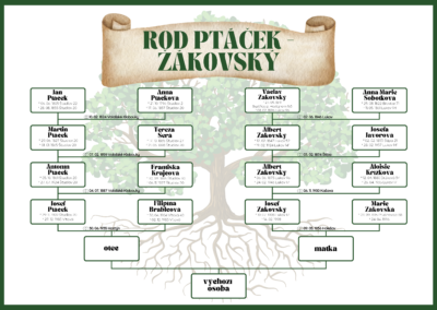 rodokmen Ptacek