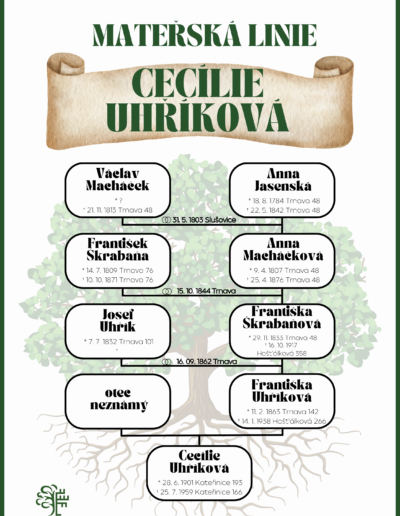 rodokmen Uhrikova-materska linie