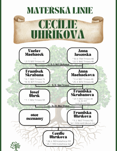 ukázka rodokmenu